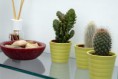 /album/galleria-fotografica/bagno-particolare-jpg/